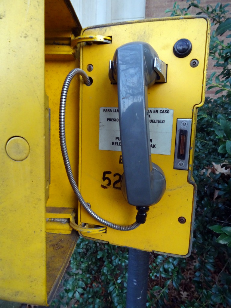 Emergency Telephone at the Bronx Zoo