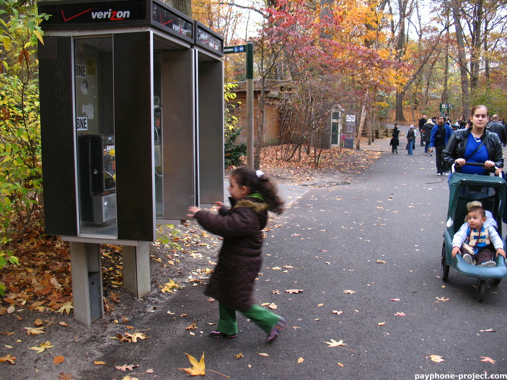 Bronx Zoo Payphones. November, 2009. (718) 562-0246/0241