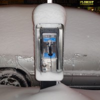 This Payphone Survived the Blizzard