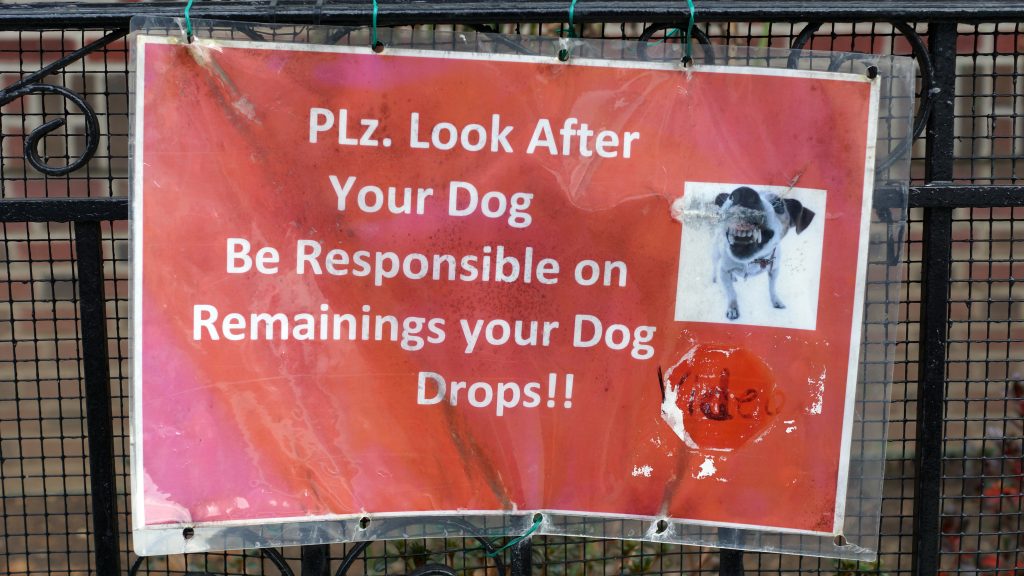 REMAININGS YOUR DOG DROPS